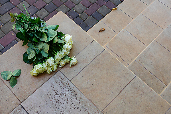 포토 JPG 해외이미지 꽃 꽃다발 결혼 바닥 사람없음 장미 분노 흰색 거절 버리기 심볼 해외포토 식물 감정 컬러 컨셉 모션 이벤트 파일형식 이미지허브