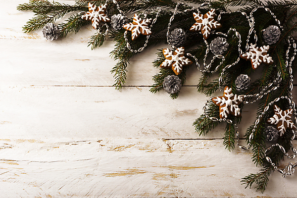 포토 JPG 해외이미지 나무 디자인 계절 백그라운드 크리스마스 겨울 추상 휴가 디저트 새해 프레임 선물 사람없음 목재 장식 초록색 빛 케이크 초콜릿 빵집 흰색 나뭇가지 시골 축하 인사 눈송이 복고 전나무 옛날 카피스페이스 방식 해외포토 식물 기념일 음식 컬러 컨셉 무늬 재료 눈_날씨 상점 공백 예절 파일형식 이미지허브