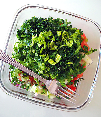 포토 JPG 해외이미지 그릇 포크 채소 사람없음 샐러드 가득함 심볼 심플 해외포토 식기 음식 파일형식 이미지허브