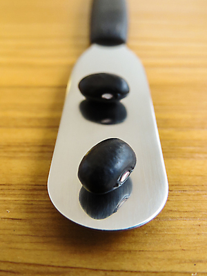 포토 JPG 해외이미지 음식 백그라운드 2 농업 재료 자연 탁자 콩 건조 건강 씨앗 사람없음 목재 반사 숟가락 검은색 어둠 낟알 유기농 주걱 내추럴 고립 철강 해외포토 나무 식물 웰빙 산업 컬러 가구 주방용품 곡류 수저 생태계 파일형식 이미지허브