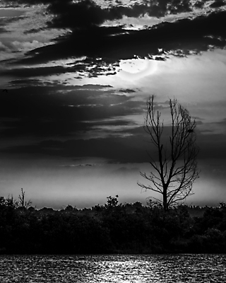 포토 JPG 해외이미지 나무 구름 실루엣 호수 백그라운드 겨울 오렌지 자연 하늘 아침 풍경 사람없음 야외 목재 물 파란색 빛 태양 일출 어둠 황혼 일몰 야간 저녁 숲 내추럴 해외포토 주간 자연요소 식물 계절 컬러 과일 재료 촬영기법 노을 생태계 파일형식 이미지허브