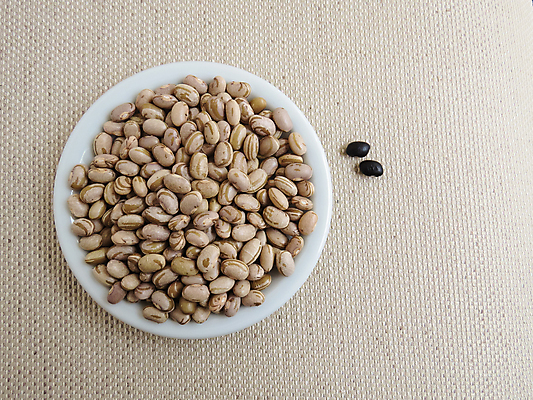 포토 JPG 해외이미지 접시 음식 백그라운드 패턴 농업 다이어트 재료 콩 건조 건강 요리 씨앗 사람없음 야외 갈색 식사 직물 그룹 맛 낟알 먹기 유기농 질감 날것 흙더미 고립 채식주의자 핸드메이드 해외포토 식물 식기 웰빙 산업 컬러 컨셉 무늬 모션 곡류 흙 채식 파일형식 더미 이미지허브