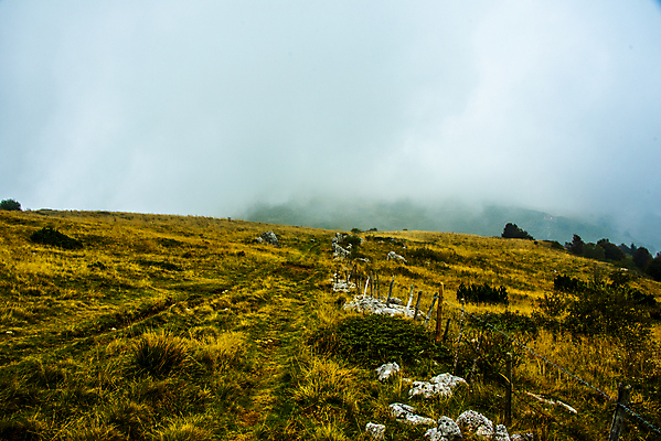 포토 JPG 해외이미지 나무 동물 계절 유럽 길 여행 백그라운드 밭 농업 자연 하늘 산 사람없음 야외 목재 초록색 컬러풀 농장 노란색 평화 환경 계곡 일몰 이탈리아 하이킹 시골 숲 오두막 언덕 그림 알프스 외양간 베로나 해외포토 식물 나라 산업 컬러 컨셉 재료 레저 노을 생태계 파일형식 이미지허브