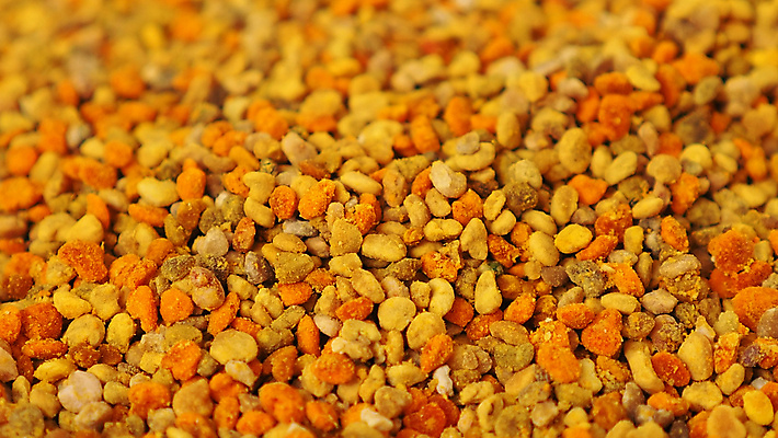 포토 JPG 해외이미지 식물 계절 꽃 곤충 백그라운드 잎 꽃무늬 자연 사람없음 초록색 여름 뷰티 노란색 정원 봄 벚꽃 신선 닫기 벌 유기농 꽃가루 꿀 내추럴 해외포토 동물 웰빙 컬러 무늬 모션 가루 생태계 파일형식 이미지허브