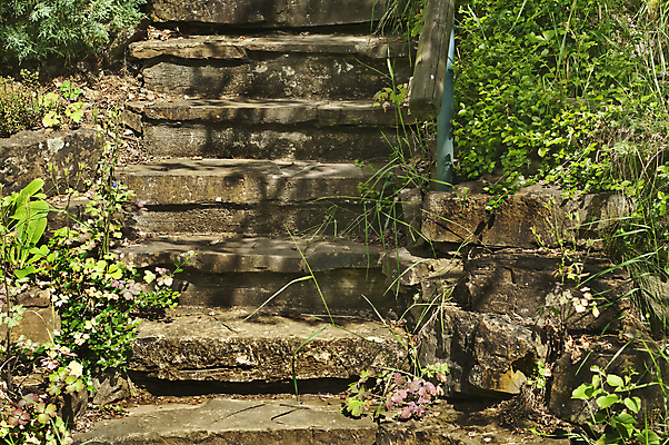포토 JPG 해외이미지 디자인 공원 꽃 도로 길 컨셉 잎 자연 성공 벽돌 그림자 사람없음 건물 초록색 빛 뷰티 우주 계단 정원 검은색 어둠 무대 수확 오픈 정상 복고 장면 단계 그런지 옛날 해외포토 식물 건축물 공공시설 컬러 농업 교통시설 생태계 파일형식 이미지허브