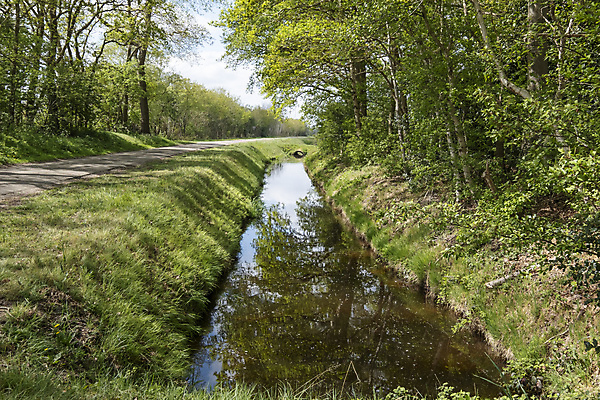 포토 JPG 해외이미지 나무 식물 구름 공원 호수 백그라운드 자연 하늘 휴식 풍경 사람없음 야외 초록색 물 여름 파란색 햇빛 반사 환경 맑음 침묵 봄 거울 흰색 시골 숲 장면 서식지 대칭 파라다이스 해외포토 자연요소 계절 공공시설 컬러 컨셉 날씨 태양 소리 생태계 파일형식 이미지허브