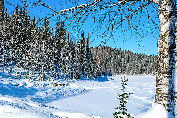 포토 JPG 해외이미지 나무 계절 공원 호수 여행 백그라운드 크리스마스 겨울 밭 자국 자연 하늘 날씨 휴가 스키 산 풍경 사람없음 야외 파란색 반짝임 강 달리기 뷰티 맑음 냉동 얼음 추위 흰색 시골 숲 크리스탈 언덕 서리 장면 눈보라 방법 선로 눈내림 해외포토 자연요소 식물 공공시설 기념일 컬러 농업 모션 겨울스포츠 눈_날씨 광석 생태계 파일형식 이미지허브