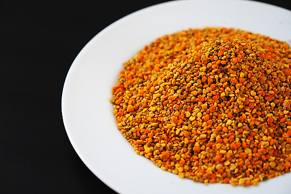 포토 JPG 해외이미지 식물 계절 꽃 곤충 백그라운드 잎 꽃무늬 자연 사람없음 초록색 뷰티 노란색 정원 봄 벚꽃 신선 닫기 유기농 꽃가루 꿀 내추럴 해외포토 동물 웰빙 컬러 무늬 모션 가루 생태계 파일형식 이미지허브