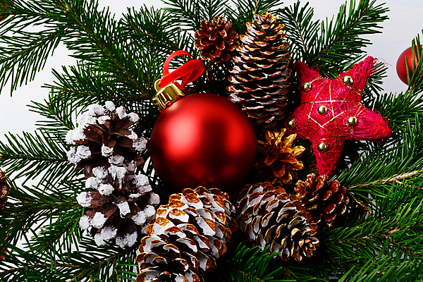 포토 JPG 해외이미지 나무 전통 계절 행복 별 결혼 백그라운드 크리스마스 겨울 공 탁자 휴가 새로움 선물 사람없음 장식 빨간색 컬러풀 파티 화환 기쁨 장식볼 나뭇가지 시골 축하 인사 소나무 신용카드 황금 우아함 12월 연도 배열 서리 초대 전나무 원뿔 밀짚 핸드메이드 눈내림 가문비나무 해외포토 자연요소 도형 식물 기념일 꽃 감정 컬러 가구 컨셉 눈_날씨 이벤트 금융 예절 날짜 짚 파일형식 이미지허브