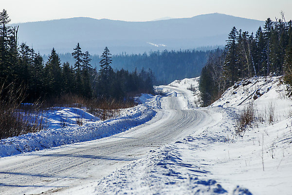 포토 JPG 해외이미지 여행 겨울 사람없음 햇빛 평화 얼음 중국 운전 덮개 나뭇가지 소나무 고속도로 숲 통로 타이어 뿌리 자작나무 통과 내추럴 벌거벗은 삼나무 우울증 직진 화창 해외포토 자연요소 나무 계절 아시아 도로 컨셉 모션 날씨 태양 뚜껑 질병 파일형식 이미지허브
