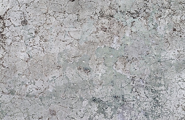 포토 JPG 해외이미지 디자인 벽 백그라운드 패턴 일러스트 자연 표면 추상 사람없음 갈색 검은색 페인트 손상 회색 수확 흰색 거친 묘사 부식 질감 복고 대리석 시멘트 내추럴 그런지 석고 옛날 콘크리트 화강암 카피스페이스 효과 해외포토 컬러 컨셉 무늬 농업 재료 공백 암석 생태계 파일형식 이미지허브