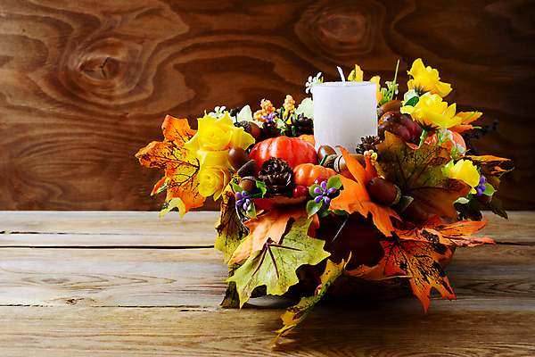 포토 JPG 해외이미지 전통 계절 행복 문화 음식 백그라운드 컨셉 단풍 잎 오렌지 탁자 휴가 사람없음 목재 장식 컬러풀 갈색 우주 축제 활발 할로윈 수확 가을 시골 축하 인사 신용카드 11월 실크 배열 도토리 추수감사절 10월 밭일 인공 호밀 귀리 해외포토 나무 식물 감정 기독교 컬러 가구 농업 과일 재료 곡류 금융 견과류 직물 예절 날짜 파일형식 이미지허브