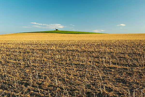 포토 JPG 해외이미지 계절 산업 백그라운드 밭 농업 자연 하늘 휴가 건조 풍경 사람없음 여름 파란색 농장 농경지 노란색 수확 가을 시골 황금 큼 땅 시리얼 밀 담배꽁초 천국 밭일 수평선 해외포토 음식 컬러 곡류 담배 크기 생태계 파일형식 이미지허브