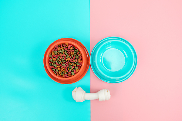 포토 JPG 해외이미지 동물 접시 음식 백그라운드 다이어트 장신구 텍스트 디저트 뼈 건조 건강 사람없음 파란색 반려동물 컬러풀 갈색 쿠키 식사 고양이 대접 신선 사발 플랫 닫기 개 달콤 강아지 상품 정상 먹이 먹기 오브젝트 유기농 질감 송곳니 내추럴 단백질 돌봄 해외포토 식기 웰빙 컬러 포유류 모션 사기그릇 맛 치아 영양소 파일형식 이미지허브