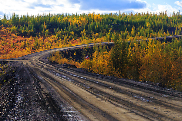 포토 JPG 해외이미지 나무 계절 공원 도로 길 여행 잎 오렌지 자연 하늘 아침 건조 이끼 사람없음 야외 목재 초록색 컬러풀 햇빛 태양 갈색 노란색 환경 침묵 흙 시골 소나무 숲 그림 나무껍질 새장 진흙 침엽수 내추럴 자취 가문비나무 해외포토 주간 자연요소 식물 공공시설 컬러 과일 재료 교통시설 소리 껍질 생태계 케이지 파일형식 이미지허브