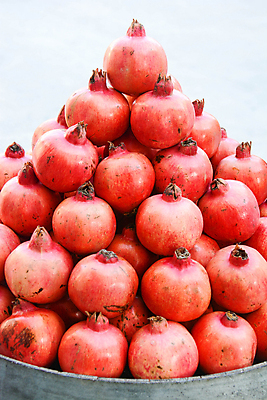 포토 JPG 해외이미지 식물 바다 백그라운드 과일 산 사람없음 모래언덕 자연백그라운드 해외포토 자연 언덕 파일형식 이미지허브