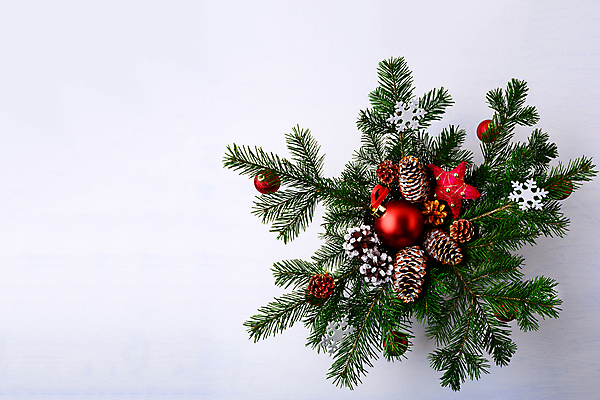 포토 JPG 해외이미지 나무 전통 계절 결혼 백그라운드 컨셉 크리스마스 탁자 휴가 새로움 선물 사람없음 목재 장식 빨간색 컬러풀 파티 우주 저녁식사 화환 활발 기쁨 흰색 나뭇가지 축하 인사 소나무 신용카드 황금 12월 연도 배열 전나무 원뿔 가문비나무 그리너리 해외포토 도형 식물 기념일 꽃 감정 컬러 가구 재료 이벤트 금융 식사 예절 날짜 파일형식 트랜드컬러 이미지허브