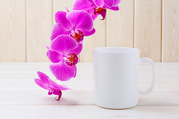 포토 JPG 해외이미지 디자인 꽃 커피 음료 음식 분홍색 백그라운드 사람없음 목재 장식 책 컵 보라색 공백 카페 머그컵 흰색 나뭇가지 발표 난초 닫기 상품 주식 책상 오브젝트 승진 라일락 거짓 보유 목업 방식 해외포토 나무 식물 식기 컬러 가구 재료 모션 금융 상점 파일형식 이미지허브