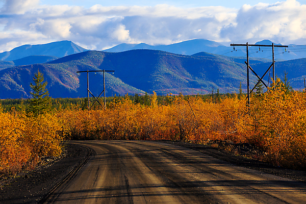 포토 JPG 해외이미지 나무 계절 공원 도로 길 여행 잎 오렌지 자연 하늘 아침 건조 이끼 풍경 사람없음 야외 목재 초록색 여름 컬러풀 햇빛 태양 갈색 노란색 환경 침묵 흙 가을 시골 소나무 숲 그림 나무껍질 새장 진흙 침엽수 내추럴 자취 가문비나무 해외포토 주간 자연요소 식물 공공시설 컬러 과일 재료 교통시설 소리 껍질 생태계 케이지 파일형식 이미지허브