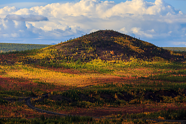 포토 JPG 해외이미지 식물 계절 열매 음식 백그라운드 오렌지 과일 자연 건강 이끼 사람없음 빨간색 초록색 물 뷰티 노란색 들꽃 흰색 신선 소나무 티켓 달콤 숲 제비꽃 원뿔 느림 러시아인 숙성 해외포토 자연요소 도형 서양인 나무 꽃 컬러 맛 생태계 파일형식 이미지허브