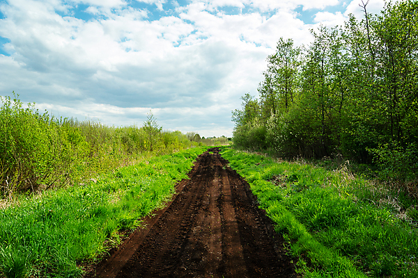 포토 JPG 해외이미지 나무 구름 공원 도로 길 여행 백그라운드 교통시설 자연 하늘 풍경 잔디 사람없음 야외 초록색 여름 파란색 갈색 환경 흙 봄 성장 흰색 시골 습지 숲 먼지 부드러움 내추럴 변소 선로 해외포토 자연요소 식물 계절 공공시설 컬러 교통 감각 시설 생태계 파일형식 이미지허브