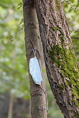 포토 JPG 해외이미지 나무 공원 백그라운드 자연 가면 안전 사람없음 야외 목재 초록색 환경 보호 질병 쓰레기 폐기물 숲 위험 일회용 묘사 생태계 질감 나무껍질 낭비 돌봄 생태학 옛날 전염병 중고 해외포토 식물 공공시설 교육 컬러 컨셉 재료 의학 모션 껍질 파일형식 이미지허브