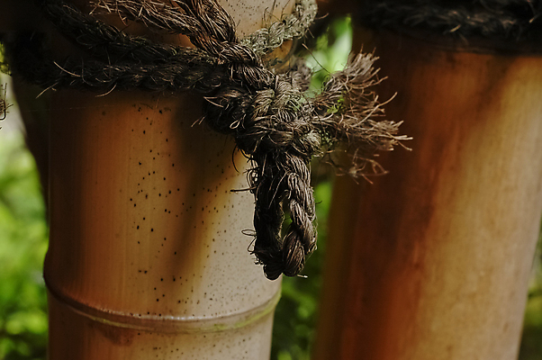 포토 JPG 해외이미지 식물 전통 아시아 문화 선 밧줄 백그라운드 패턴 불교 자연 함께함 동양인 사람없음 목재 울타리 갈색 일본 중국 수확 나뭇가지 원형 막대기 구부린 코드 보호 다발 묶기 대나무 보따리 질감 복고 보안 매듭 내추럴 옛날 줄서기 해외포토 도형 나무 나라 종교 줄 컬러 컨셉 무늬 농업 재료 모션 안전 인종 담장 생태계 파일형식 이미지허브