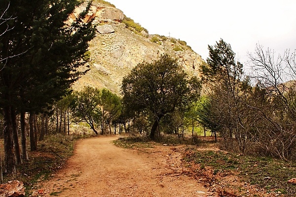 포토 JPG 해외이미지 나무 식물 공원 길 여행 자연 하늘 산 사람없음 가로 초록색 햇빛 걷기 환경 계곡 봄 행성 신선 소나무 분위기 정상 숲 관목 언덕 산등성이 침엽수 전나무 내추럴 루트 방법 삼나무 삼림지대 천창 해외포토 계절 공공시설 컬러 컨셉 모션 태양 우주 생태계 파일형식 이미지허브