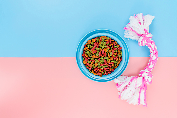 포토 JPG 해외이미지 동물 접시 음식 백그라운드 다이어트 장신구 텍스트 디저트 뼈 건조 건강 사람없음 파란색 반려동물 컬러풀 장난감 갈색 쿠키 식사 고양이 대접 신선 사발 플랫 닫기 개 달콤 강아지 상품 정상 먹이 먹기 오브젝트 유기농 질감 송곳니 내추럴 단백질 돌봄 해외포토 식기 웰빙 컬러 포유류 모션 사기그릇 맛 치아 영양소 파일형식 이미지허브