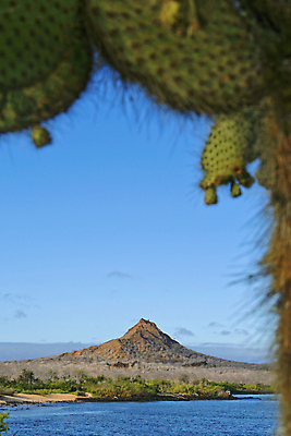 포토 JPG 해외이미지 야생동물 바다 섬 자연 국립공원 풍경 사람없음 초록색 환경 미국 다양 바위 생태계 태평양 에콰도르 갈라파고스 서식지 무료 생태학 해외포토 동물 공원 교육 컬러 다수 북아메리카 돌_바위 남아메리카 파일형식 이미지허브