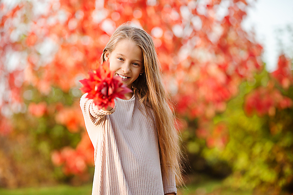 포토 JPG 해외이미지 공원 여자 어린이 단풍 한명 들기 상반신 앞모습 아웃포커스 다발 손뻗기 소녀한명만 해외포토 1 공공시설 뷰포인트 잎 모션 촬영기법 사람 여자한명만 소녀만 파일형식 이미지허브
