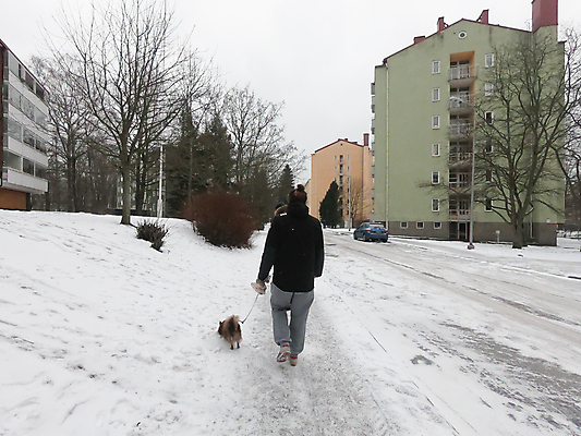 포토 JPG 해외이미지 라이프스타일 공원 남자 행복 길 스포츠 여행 겨울 자연 휴가 건강 핀란드 사람 사람없음 야외 걷기 하이킹 개 숲 고립 헬싱키 해외포토 계절 공공시설 감정 포유류 모션 레저 북유럽 생활 생태계 파일형식 이미지허브
