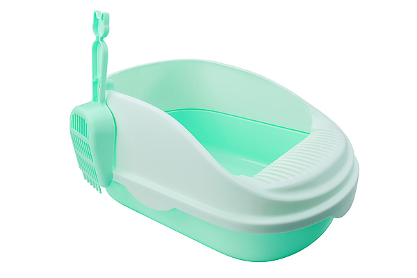 포토 JPG 해외이미지 동물 디자인 모래 백그라운드 컨셉 장신구 자연 주택 털 쟁반 실내 건강 앉기 사람없음 초록색 반려동물 상자 갈색 고양이 장비 흰색 쓰레기 플라스틱 삽 오브젝트 국자 직사각형 내추럴 고립 돌봄 변기통 위생관리 해외포토 도형 컬러 포유류 모션 재질 주방용품 관리 내부 건물 생태계 파일형식 이미지허브