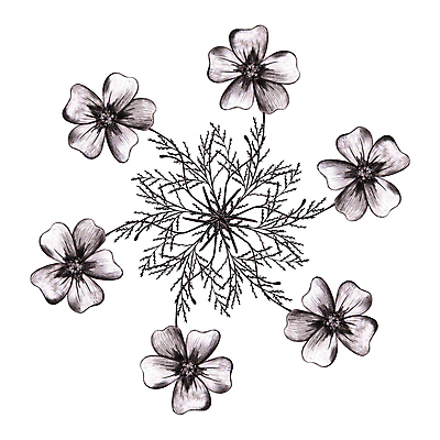 포토 JPG 해외이미지 식물 디자인 꽃잎 꽃 꽃다발 결혼 셔츠 잎 꽃무늬 일러스트 휴가 흑백 미술 사람없음 그래픽 장식 연필 검은색 수확 성장 벚꽃 나뭇가지 원형 신용카드 생일 인쇄 스케치 문신 오브젝트 그림 복고 엽서 손그림 T 고립 구성 엘리먼트 디테일 해외포토 도형 나무 알파벳 기념일 컬러 상의 무늬 농업 문화예술 학용품 촬영기법 이벤트 금융 필기구 편지 파일형식 이미지허브