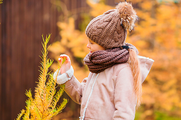 포토 JPG 해외이미지 응시 여자 어린이 한명 소녀 상반신 옆모습 아웃포커스 만지기 가을 풀 가을옷 소녀한명만 해외포토 식물 1 시선 옷 계절 뷰포인트 모션 촬영기법 사람 여자한명만 소녀만 파일형식 가을_계절 이미지허브