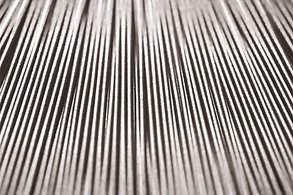 포토 JPG 해외이미지 백그라운드 사람없음 검은색 스파게티면 해외포토 컬러 면류 파일형식 이미지허브