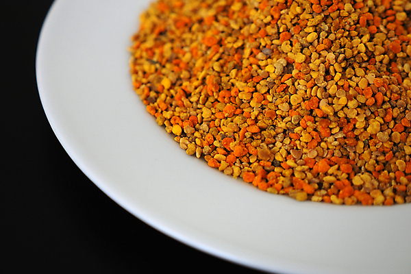 포토 JPG 해외이미지 식물 계절 꽃 곤충 백그라운드 잎 꽃무늬 자연 사람없음 초록색 여름 뷰티 노란색 정원 봄 벚꽃 신선 닫기 벌 유기농 꽃가루 꿀 내추럴 해외포토 동물 웰빙 컬러 무늬 모션 가루 생태계 파일형식 이미지허브