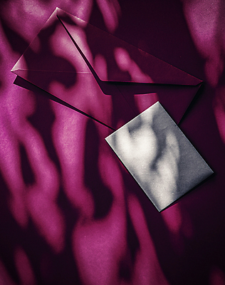 포토 JPG 해외이미지 종이 프레임 그림자 사람없음 뷰티 상점 보라색 이메일 온라인 뉴스레터 목업 레터헤드 해외포토 템플릿 컬러 파일형식 이미지허브