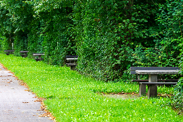 포토 JPG 해외이미지 나무 계절 공원 길 여행 잎 벤치 자연 휴식 서기 앉기 풍경 사람없음 야외 목재 가로 초록색 평화 정원 봄 산책 가을 고속도로 숲 만족 일렬 내추럴 무료 방법 줄서기 카피스페이스 해외포토 식물 공공시설 감정 도로 컬러 컨셉 의자 재료 모션 공백 생태계 파일형식 이미지허브