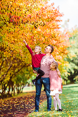 포토 JPG 해외이미지 전신 공원 여자 남자 어린이 낙엽 단풍나무 함께함 서기 성인 앞모습 옆모습 세명 화목 산책로 올려보기 가리킴 그늘 손뻗기 들어올리기 어깨에손 해외포토 나무 공공시설 길 뷰포인트 컨셉 단풍 잎 모션 사람 손짓 파일형식 이미지허브