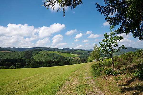 포토 JPG 해외이미지 식물 구름 유럽 길 여행 자국 자연 하늘 휴가 산 독일 파노라마 국립공원 풍경 사람없음 야외 환경 트래킹 하이킹 시골 오솔길 언덕 생태계 내추럴 방법 산맥 해외포토 자연요소 공원 나라 레저 촬영기법 파일형식 이미지허브