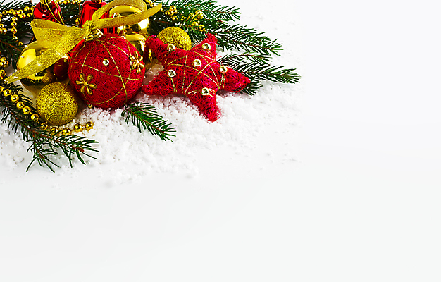 포토 JPG 해외이미지 나무 전통 계절 결혼 백그라운드 컨셉 크리스마스 겨울 공 휴가 새로움 프레임 매달리기 선물 사람없음 장식 빨간색 빛 컬러풀 파티 우주 활발 기쁨 장식볼 종 흰색 나뭇가지 축하 인사 소나무 신용카드 12월 연도 배열 구슬 초대 전나무 원뿔 여의주 가문비나무 해외포토 도형 식물 기념일 감정 컬러 모션 이벤트 금융 예절 날짜 파일형식 이미지허브