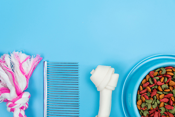 포토 JPG 해외이미지 동물 접시 음식 다이어트 뼈 건조 털 사람없음 물 반려동물 장난감 뷰티 식사 장비 코트 흰색 대접 붓 머리빗 최고 그룹 사발 닫기 개 강아지 먹이 자르기 먹기 오브젝트 유기농 몸단장 고립 기르기 더블 돌봄 영양분 칭찬 해외포토 자연요소 식기 웰빙 컬러 포유류 모션 건강 외투 미용용품 사기그릇 파일형식 이미지허브