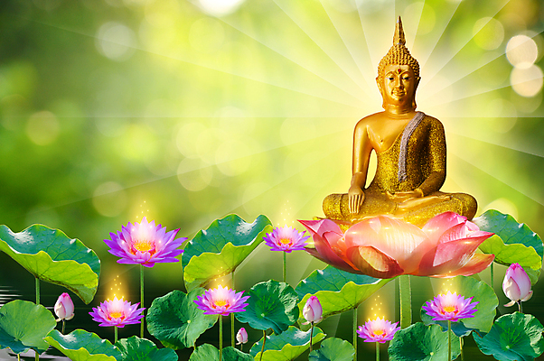 포토 JPG 해외이미지 식물 전통 꽃 실루엣 아시아 종교 문화 얼굴 선 분홍색 조각 백그라운드 잎 불교 태국 자연 연꽃 미술 동양인 풍경 사람없음 초록색 물 파란색 빛 조각상 노란색 평화 흰색 사찰 황금 백합 승려 심볼 대나무 명상 신성 숭배 해외포토 자연요소 나무 나라 컬러 컨셉 종교건축 문화예술 촬영기법 인종 신체부위 조형물 성직자 생태계 파일형식 이미지허브