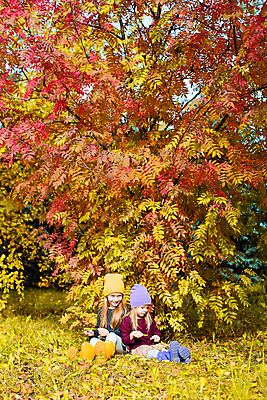 포토 JPG 해외이미지 전신 응시 공원 여자 어린이 낙엽 단풍나무 함께함 앉기 두명 앞모습 옆모습 자매 소녀만 해외포토 나무 시선 공공시설 뷰포인트 컨셉 단풍 잎 가족 모션 사람 여자만 어린이만 파일형식 이미지허브