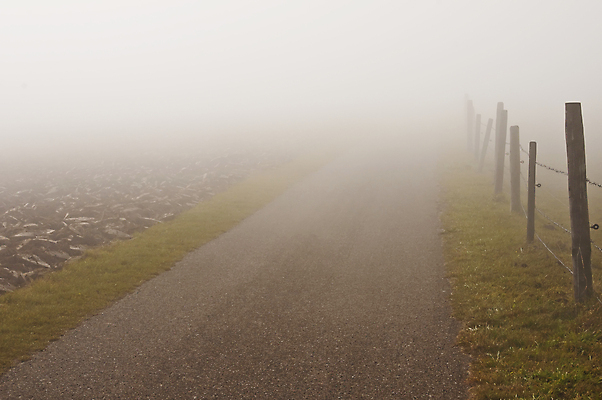 포토 JPG 해외이미지 계절 단풍 사람없음 울타리 컬러풀 습기 젖음 안개 가을 신비 방법 해외포토 컬러 컨셉 잎 날씨 담장 파일형식 이미지허브