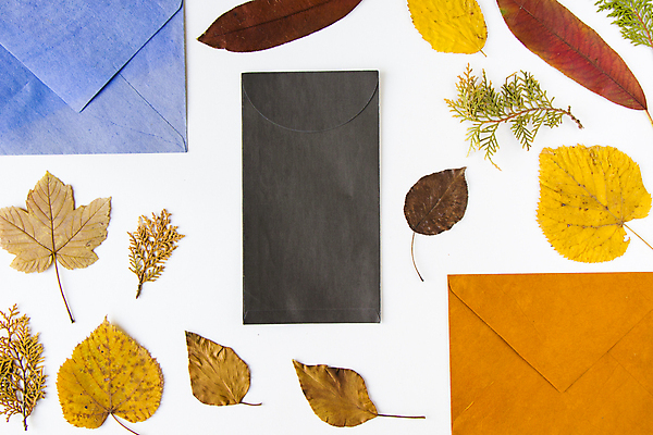 포토 JPG 해외이미지 식물 템플릿 계절 종이 백그라운드 단풍 잎 통신 자연 벽지 추상 봉투 프레임 건조 사람없음 컬러풀 갈색 쪽지 가을 메시지 황금 혼합 숲 편지 수집 흰배경 질감 엽서 주소 10월 내추럴 편지쓰기 카피스페이스 해외포토 컬러 무늬 공백 흰색 기록 날짜 생태계 파일형식 이미지허브