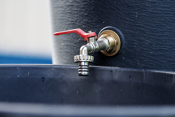 포토 JPG 해외이미지 식물 전통 꽃 자연 하늘 주택 통 외벽 사람없음 야외 목재 초록색 물 환경 금속 정원 재활용 모임 흐름 수확 시골 오픈 액체 개화 캔 보호 컨테이너 수집 에코 원예 탱크 가뭄 수납 빗물 생태학 치유 해외포토 자연요소 나무 교육 산업 벽 컬러 컨셉 농업 재료 재질 날씨 취미 건물 비_날씨 친환경 생태계 파일형식 이미지허브