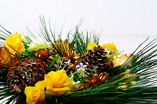 포토 JPG 해외이미지 나무 전통 계절 문화 결혼 백그라운드 컨셉 잎 크리스마스 휴가 새로움 프레임 선물 사람없음 목재 장식 컬러풀 파티 우주 축제 저녁식사 활발 기쁨 흰색 나뭇가지 시골 축하 인사 소나무 신용카드 우아함 12월 연도 배열 초대 도토리 전나무 원뿔 인공 가문비나무 해외포토 도형 식물 기념일 감정 컬러 재료 이벤트 금융 식사 견과류 예절 날짜 파일형식 이미지허브