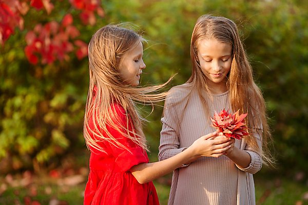 포토 JPG 해외이미지 공원 여자 어린이 단풍 함께함 들기 상반신 두명 앞모습 옆모습 아웃포커스 손잡기 화목 다발 자매 소녀만 내려보기 해외포토 공공시설 뷰포인트 컨셉 잎 가족 모션 촬영기법 사람 여자만 어린이만 파일형식 이미지허브